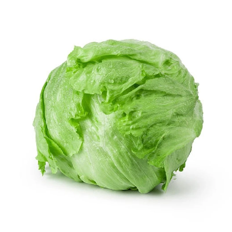 北京直发西生菜约0.9-1.2斤/份