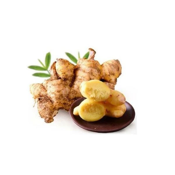 四川正宗深山小黄姜300-350g/袋