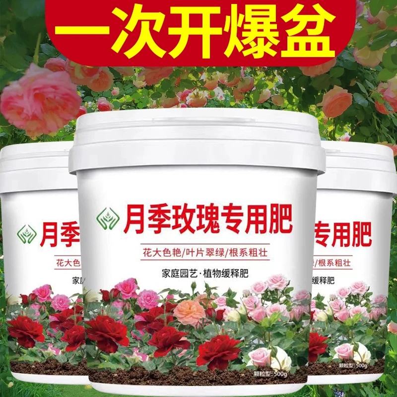 月季花玫瑰花专用肥料蔷薇盆栽不烧根通用型促根壮苗颗粒缓释肥料