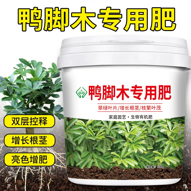 【鸭脚木专用肥料】鸭掌木肥料鸭爪木盆栽绿植营养颗粒落叶缓释肥