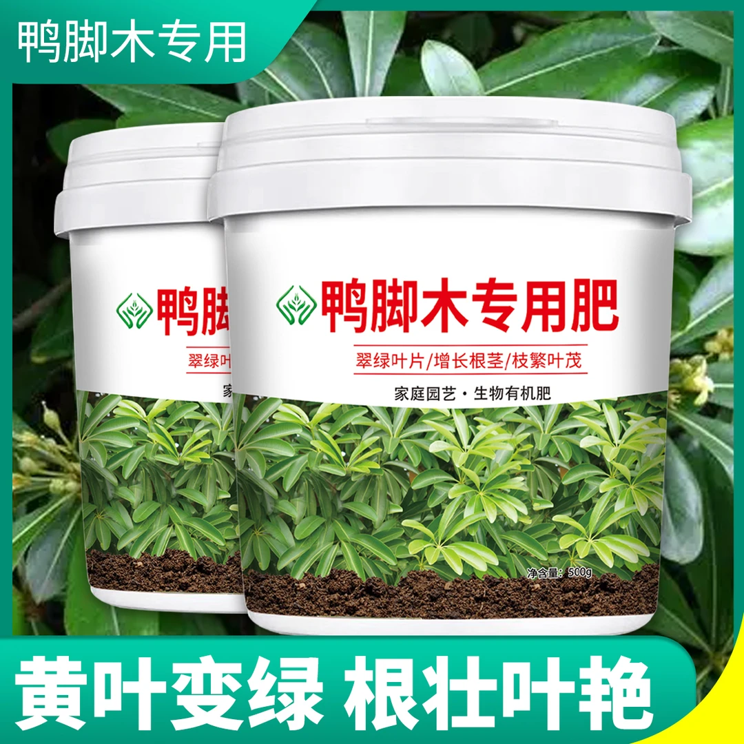 鸭脚木专用肥料营养肥鹅掌木绿萝园艺幸福树有机复合颗粒缓释肥