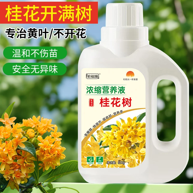 农福颂金桂花树专用肥桂花营养液防黄叶干尖免稀释治黄叶急救肥