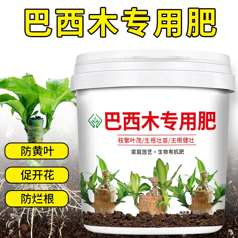巴西木专用肥料幸运木水培水养植物家用盆栽颗粒缓释肥营养底肥料