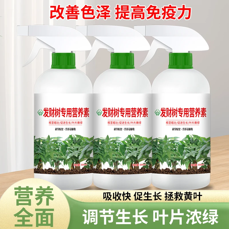 发财树专用营养液 绿植花卉盆栽通用型叶面肥料促进生长叶片肥厚