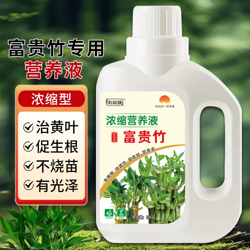 富贵竹专用营养液发财竹观音竹水培植物铜钱草绿植盆栽养花肥料