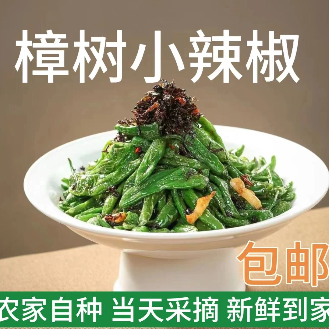 【微辣辣椒】绿色樟树小青椒原品种采摘皮薄鲜嫩爽口天然种植产地供
