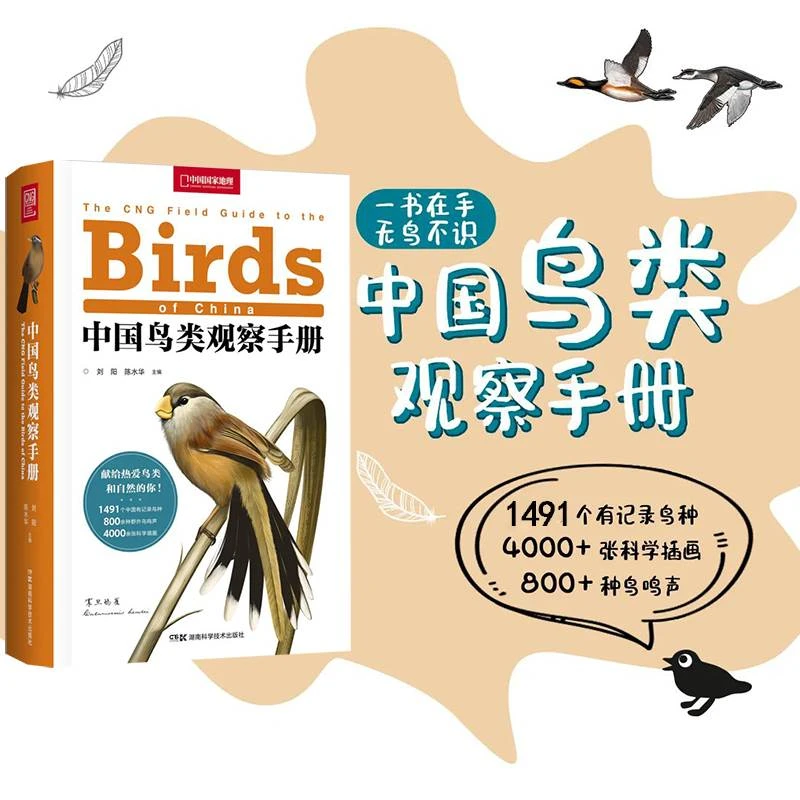中国鸟类观察手册 中国鸟类行为动物科普图鉴
