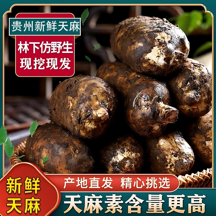 贵州深山林下野外生长新鲜天麻营养1斤装带泥发货