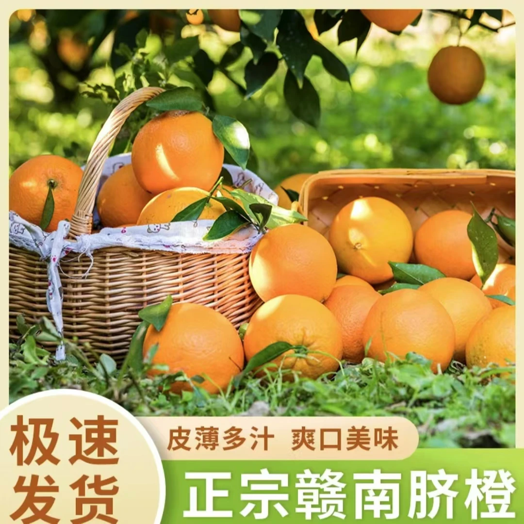 【10斤老树大果】赣南脐橙 果园现摘 新鲜香甜 应季水果 皮薄多汁
