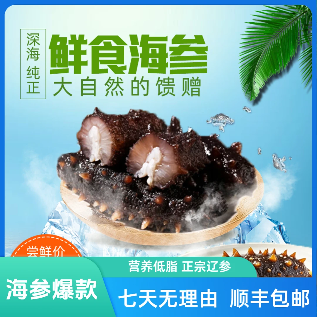 【大颖颖专属】大连辽参鲜食海参低温冷蒸真空冷冻【8-12个头每斤】
