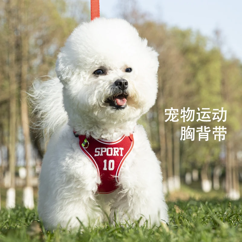 四季可用小型犬胸背带猫狗舒适防挣脱出行牵引绳可调节遛狗狗狗绳