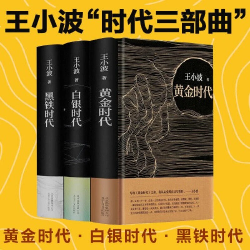王小波时代三部曲无删减 黄金时代+白银时代+黑铁时代青少年读物