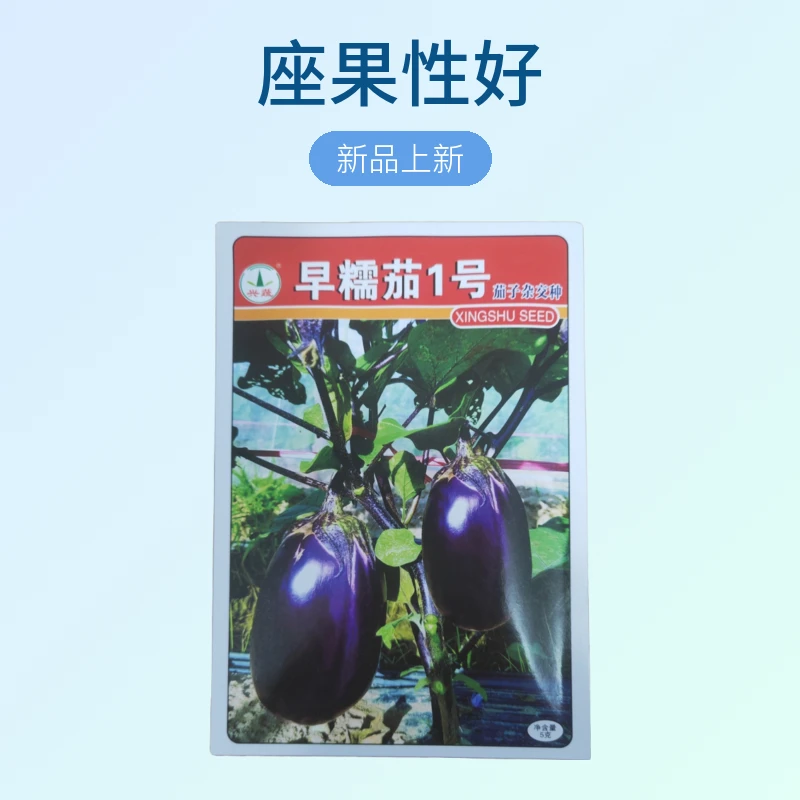 【茄子】早糯茄1号早熟茄子杂交种种子 座果性好 口感软糯 采收期长