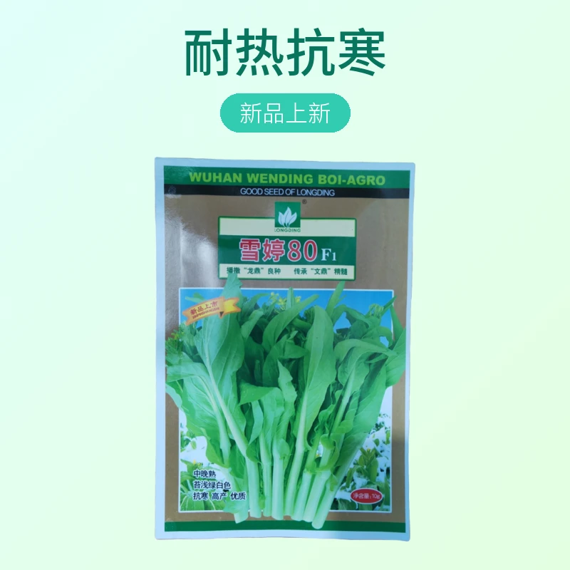【菜苔】雪婷80 中晚熟种子 苔浅绿白色 抗寒 高产优质 耐热 产量高