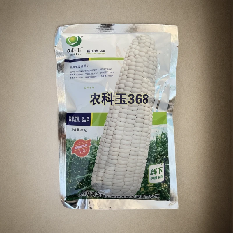 【玉米】农科玉368杂交糯玉米种子 籽粒白色 甜糯型 百粒重38.4克