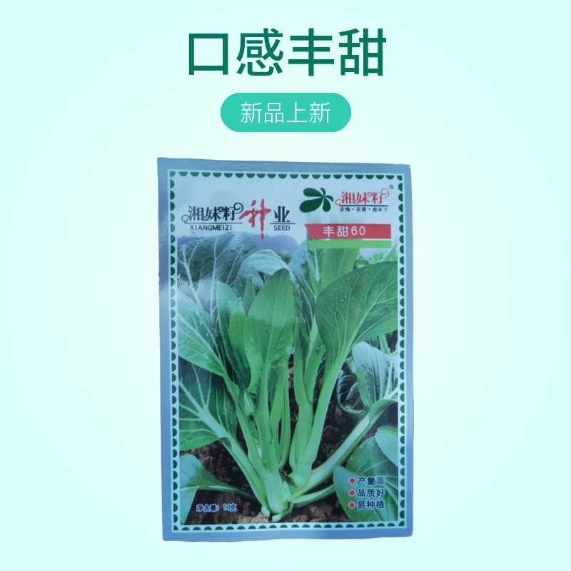 【菜苔】丰甜60高品质中熟杂交甜菜苔产量高品质好易种植纤维少品