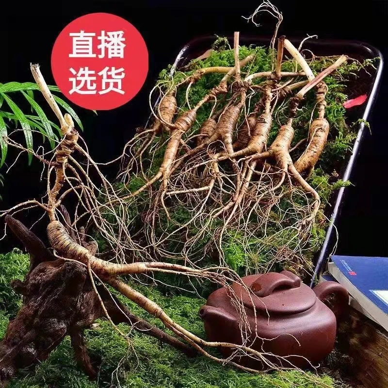 长白山  当地    放山货    无人工干预的人参  等价链接保鲜参