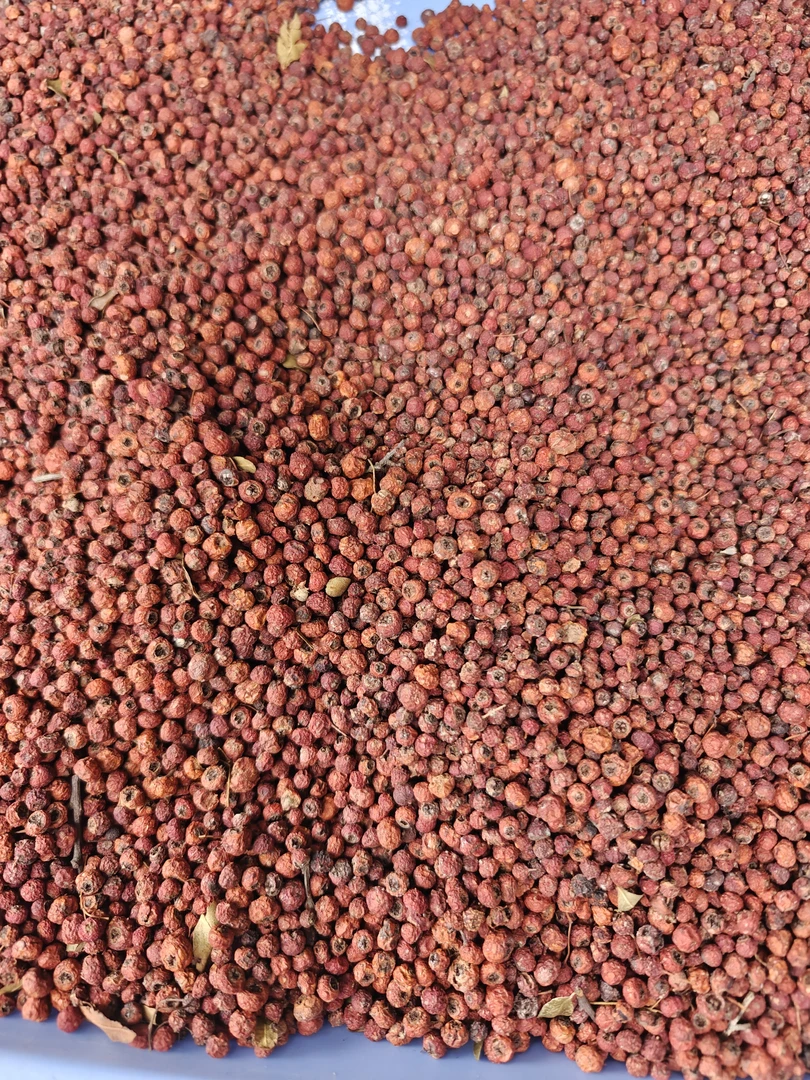 【紫-三-果-菌】云南高山土特产