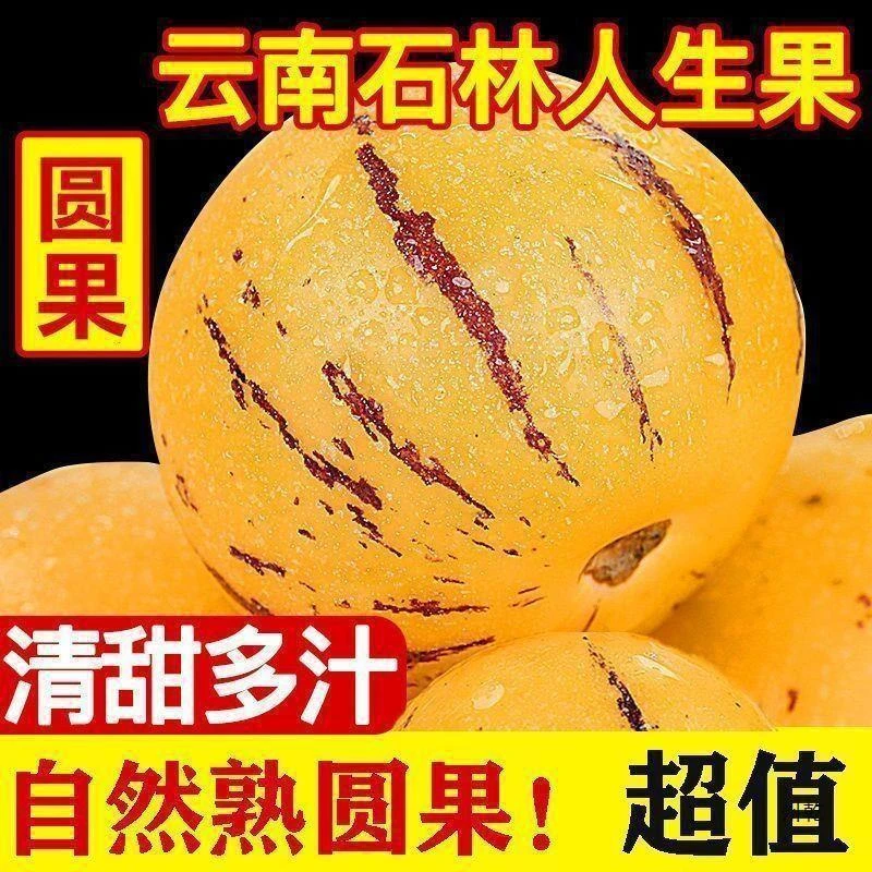 （低糖）1云南石林人参果黄肉圆果9斤装新鲜现采现发应季水果树上熟
