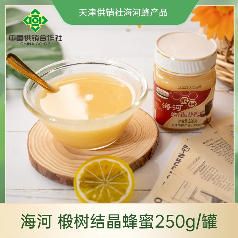 【国货海河】到手两罐 供销合作社 海河 椴树蜂蜜250g/罐