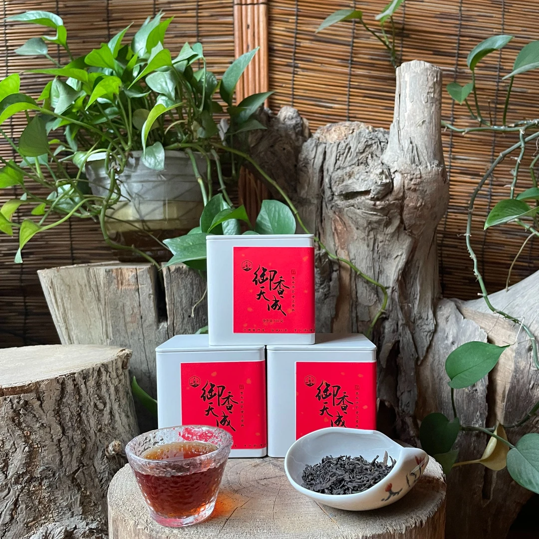 六龙六堡茶 御香天成-2015年六堡茶琥珀色茶汤醇厚甘和