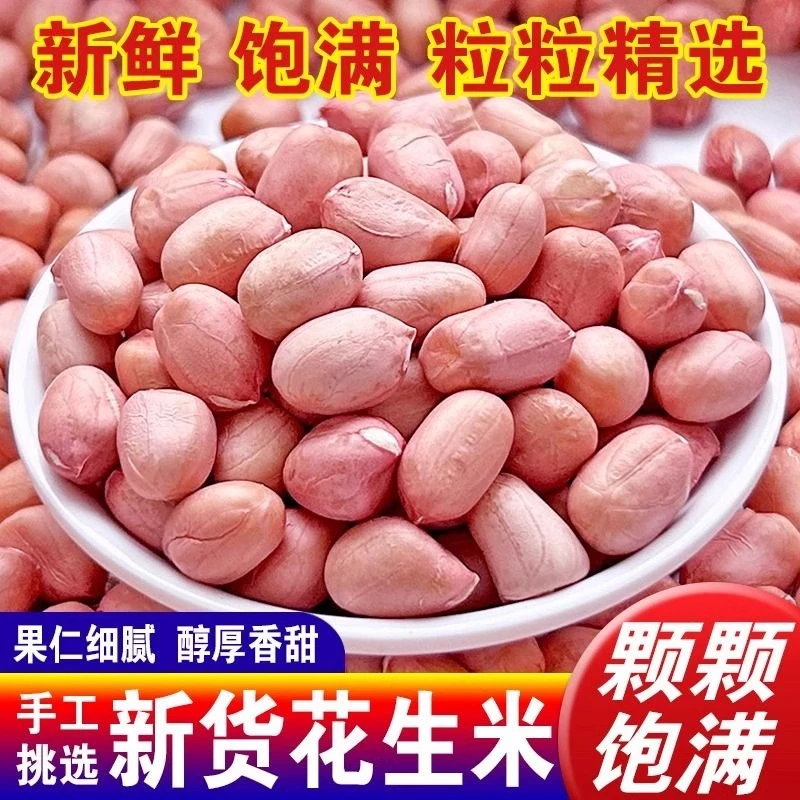 新鲜花生新货粉皮新鲜大粒花生果直接可吃可油炸可煲汤可榨油