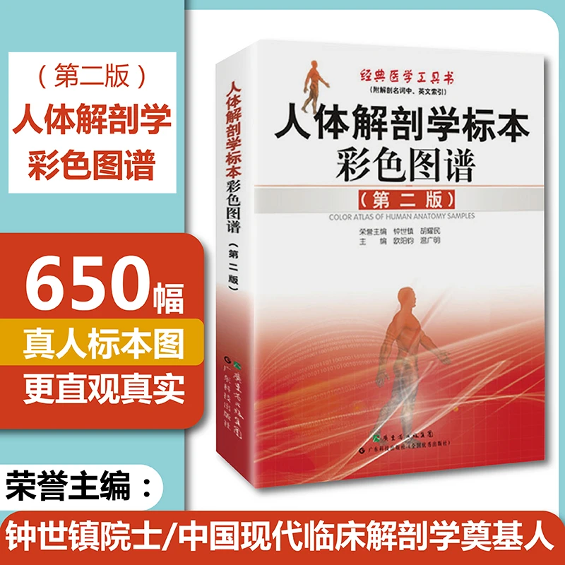 人体解剖学标本彩色图谱(第2版) 钟世镇 高清真人标本图人体结构