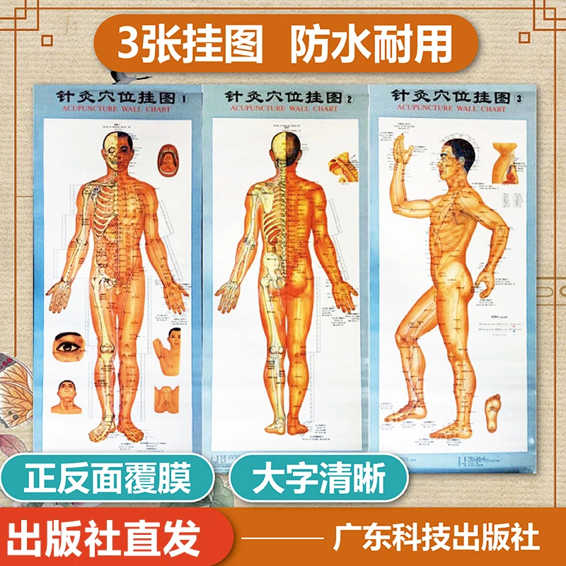 【3张】针灸穴位挂图 针灸穴位按摩 中医养生理疗馆人体病症穴位图