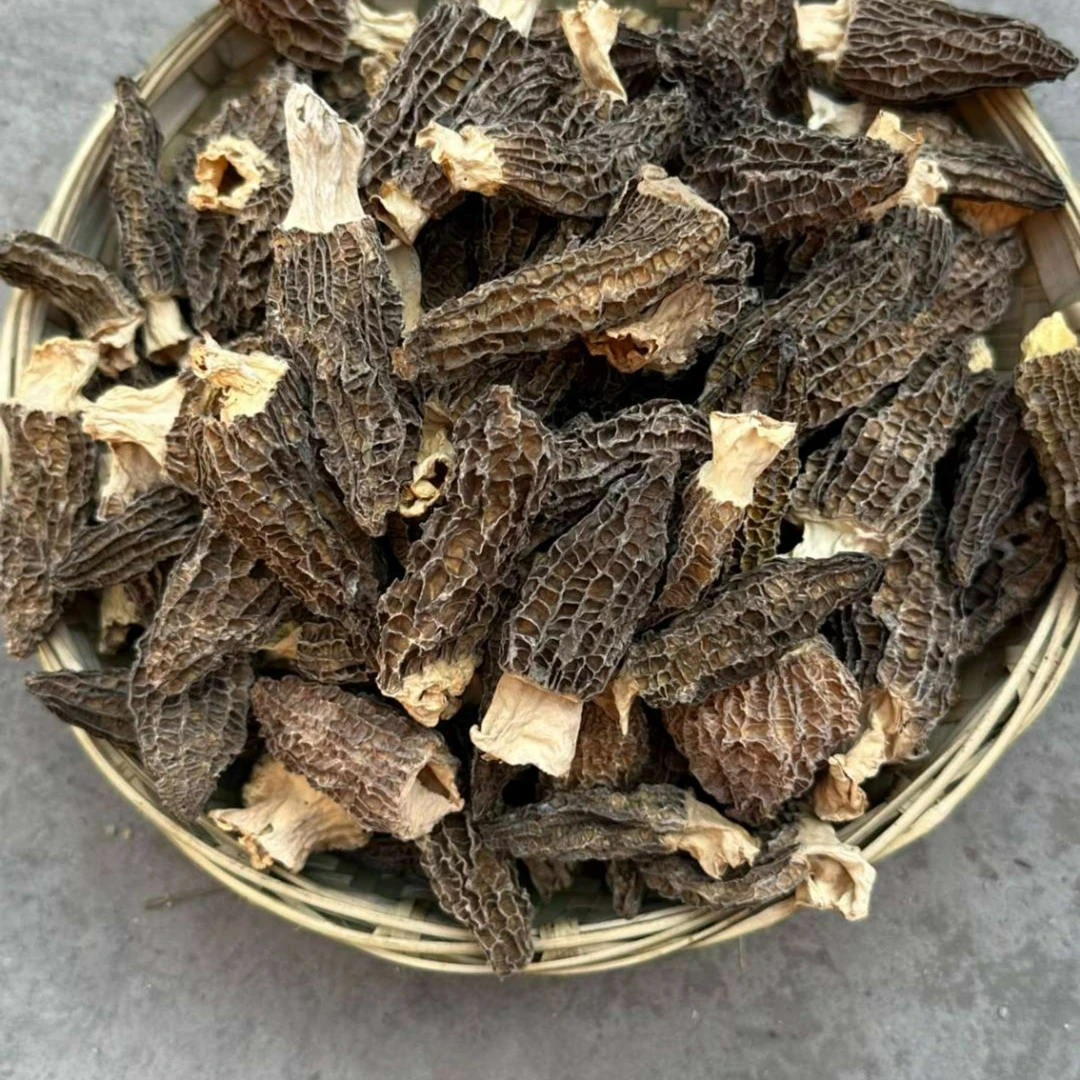 高山羊肚菌50g(凉山布西)