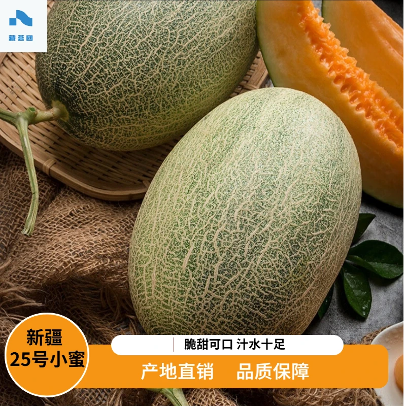 【达人专属】新疆小蜜25号绿皮哈密瓜当季水果产地直销香甜味美