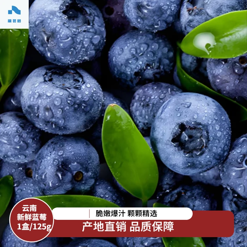 【达人专属】云南高山生态蓝莓新鲜香甜盒装当季水果产地直销新鲜