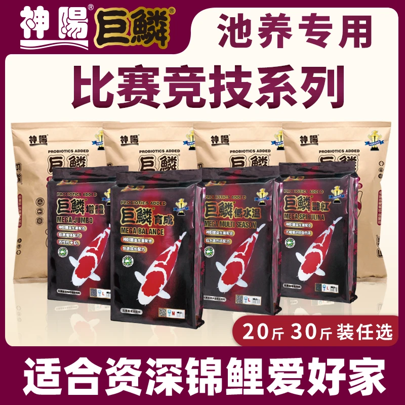 神阳巨鳞色扬比赛级锦鲤饲料观赏鱼主食增体增色不浑水颗粒鱼粮
