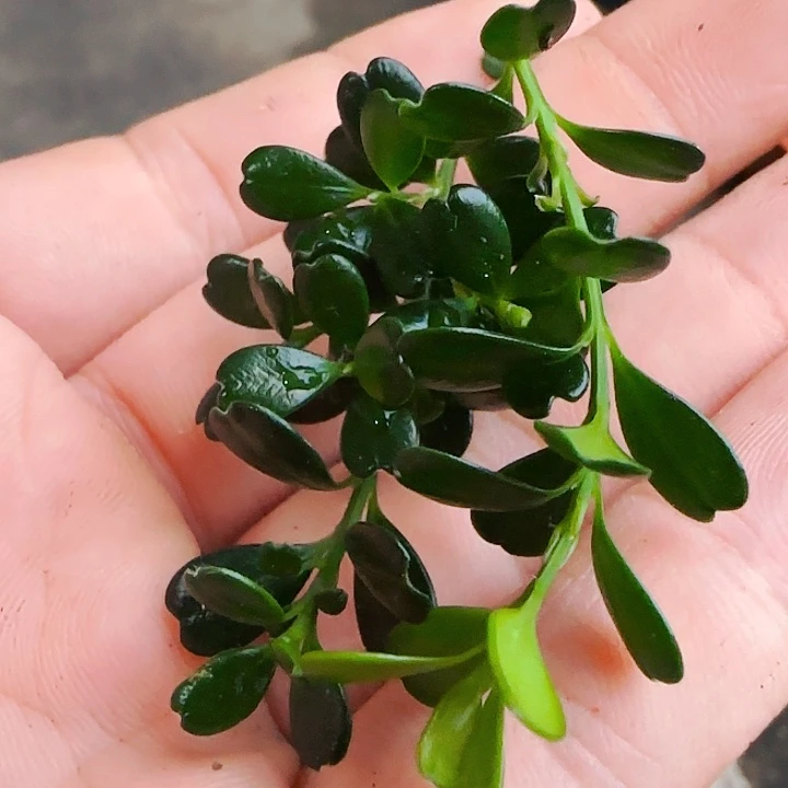 啊啊啊啊啊啊啊啊啊啊