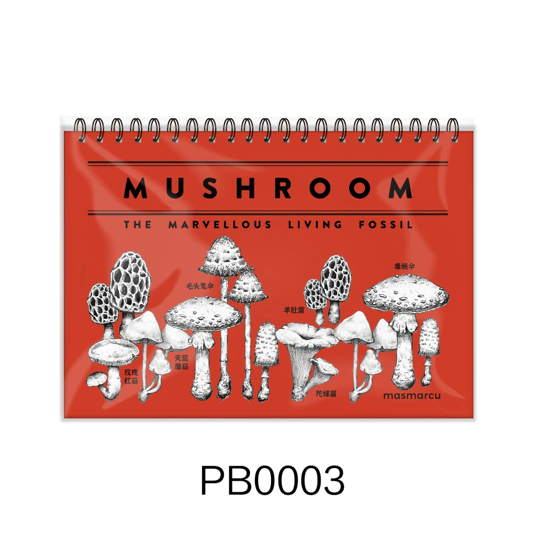 PB0003   QZHW全能笔记本A5博物史前系列