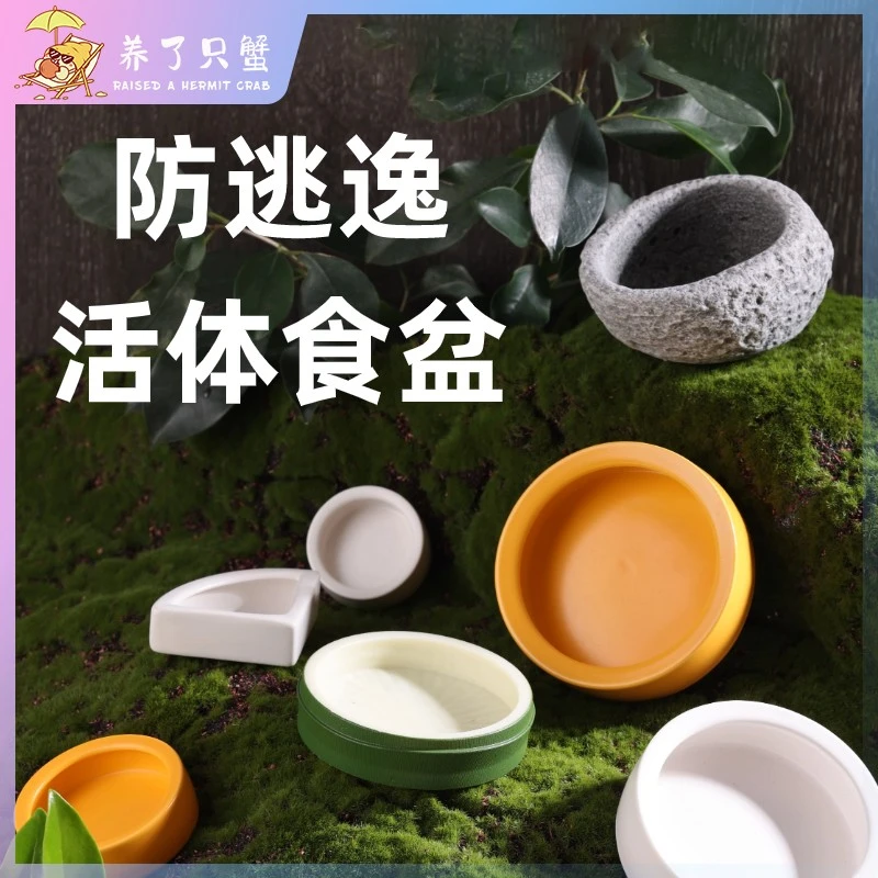 爬宠水盆防逃逸食盆角蛙造景盆寄居蟹泡澡盆陶瓷盆守宫