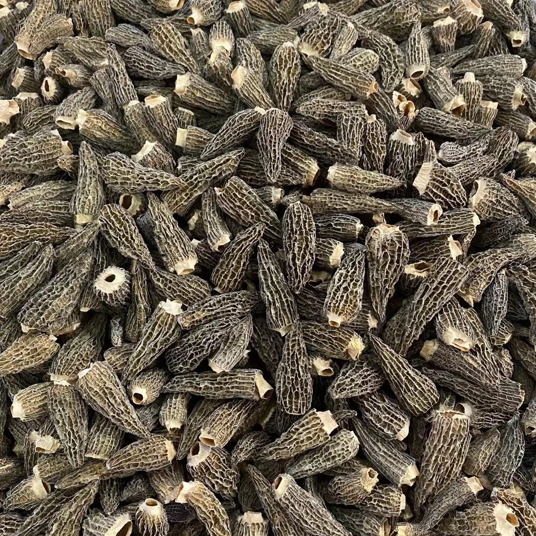 【闽生宝】无柄羊肚菌 营养 食用
