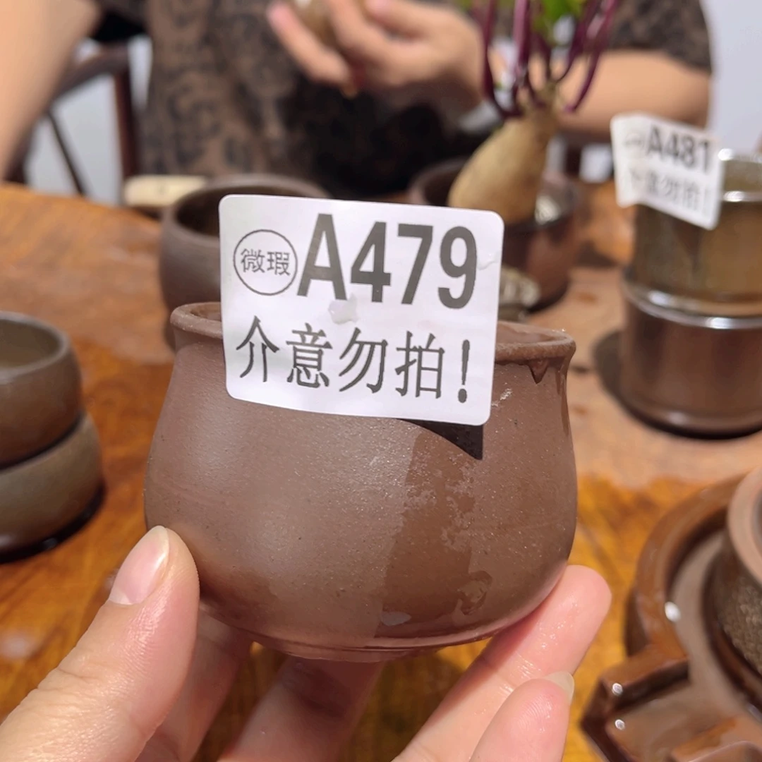 杯钦州陶缘坭兴陶479