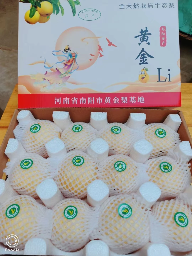 老家河南方城博望黄金梨,我们只卖品质好梨