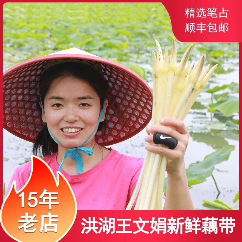 洪湖王文娟新鲜藕带1000g 嫩藕占湖北藕尖藕肠子纯笔簪毛笔尖顺丰
