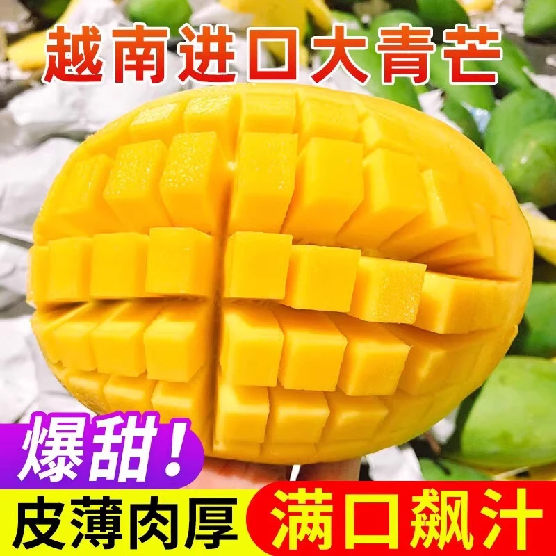 【放熟食用】越南大青芒3-9斤热带青皮金煌芒果生吃酸脆催熟无丝LJ