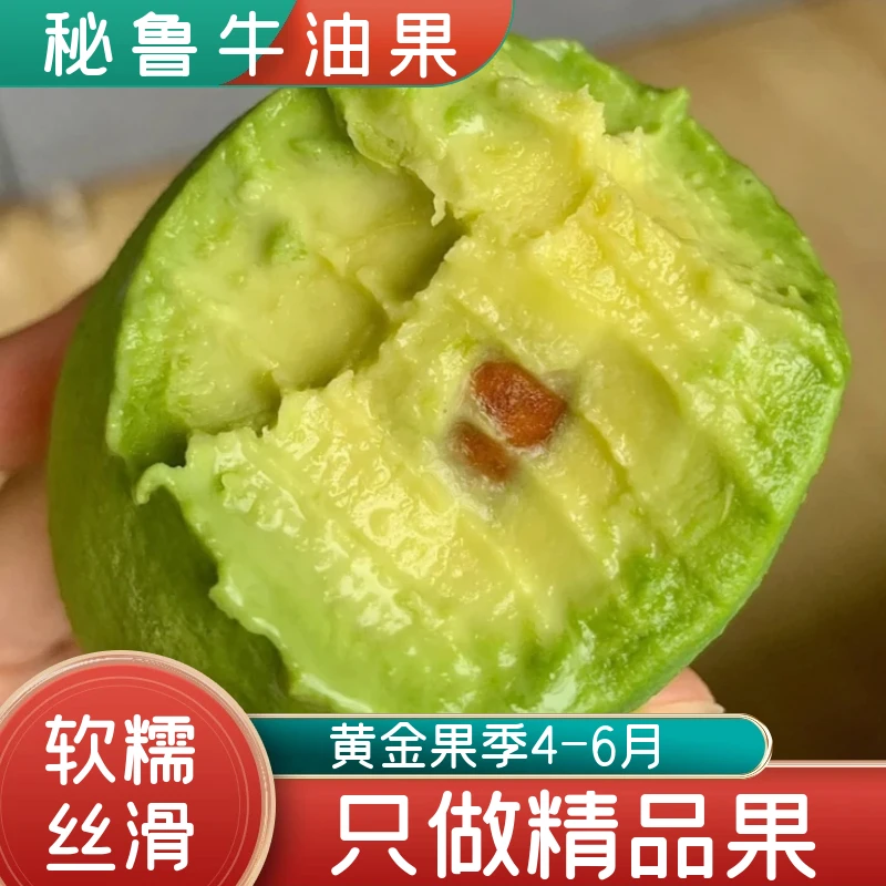 正宗秘鲁进口精品哈斯牛油果软糯丝滑绵密新鲜应季水果宝宝辅食Yt