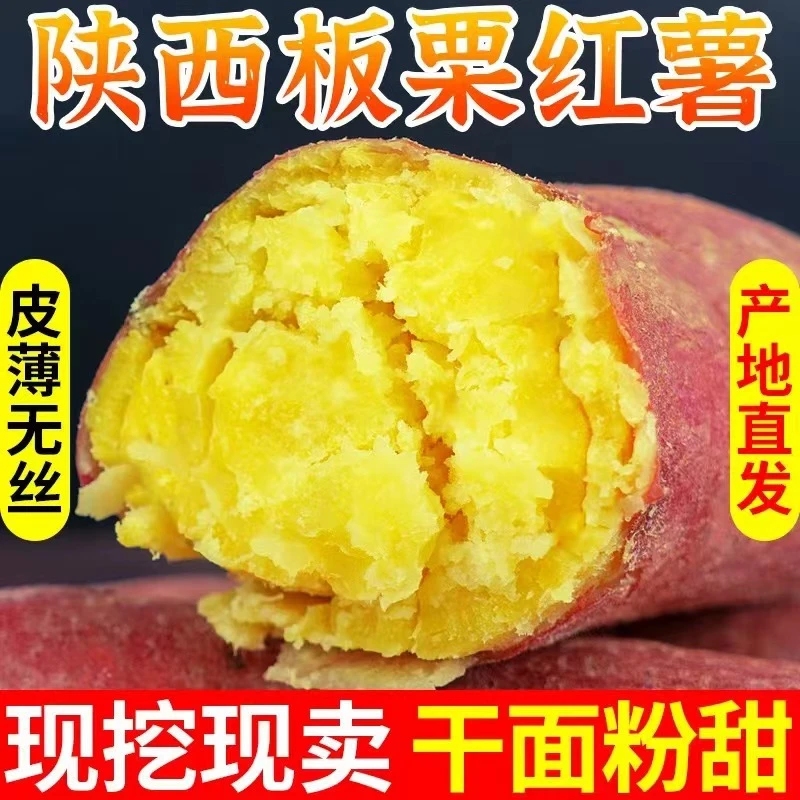 陕西正宗板栗红薯现挖新鲜番薯农家自种干面粉甜地瓜3/5斤
