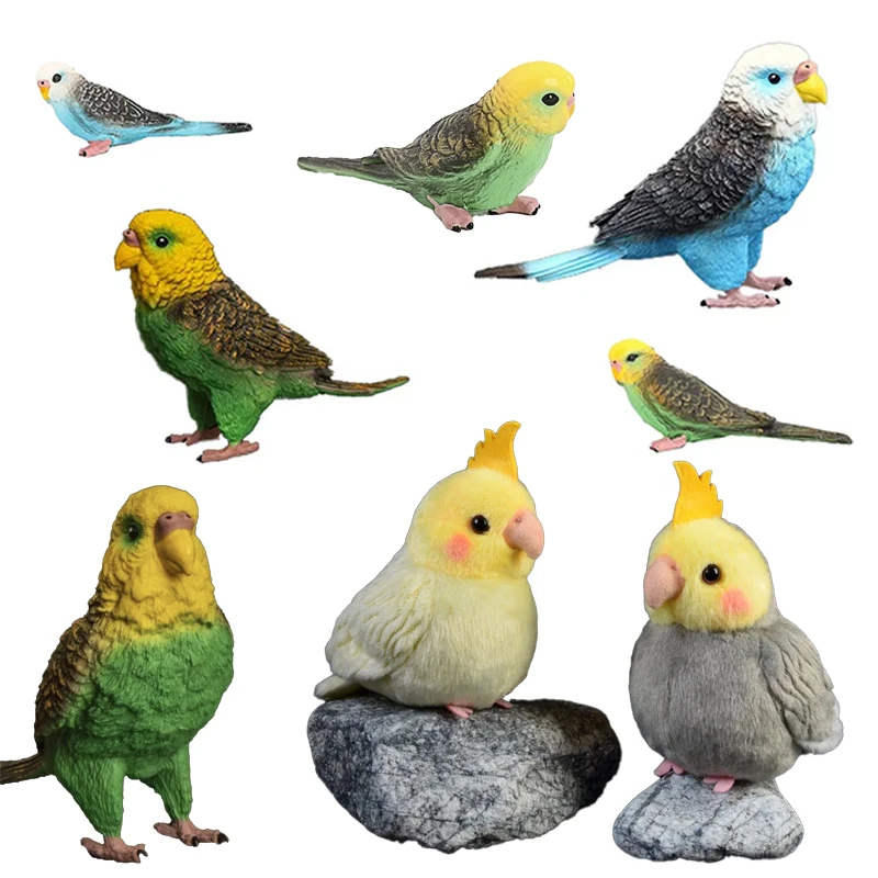 鹦鹉毛绒玩具 定制链接 请勿自行下单 需沟通备注