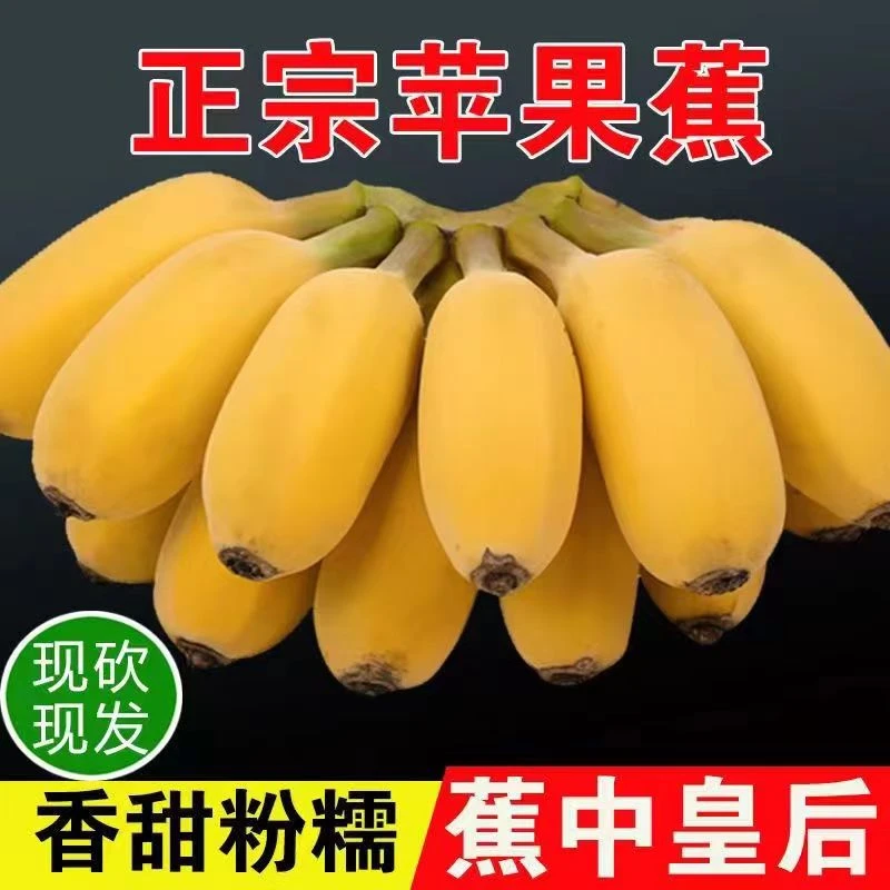 正宗广西苹果蕉产地直发当地新鲜水果5/9斤香蕉批发自然采摘食用