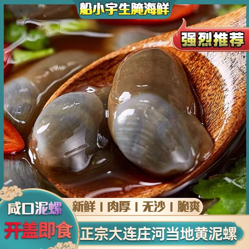 【船小宇】生腌泥螺  庄河本地黄边泥螺 200g/盒 发5盒 顺丰包邮