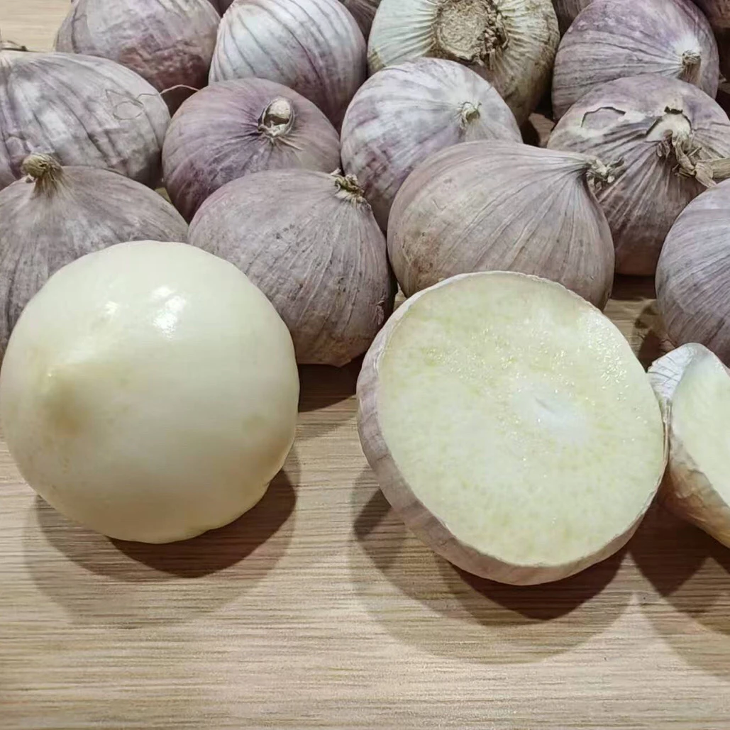 好滋味辽宁紫皮独头蒜精选优质大蒜