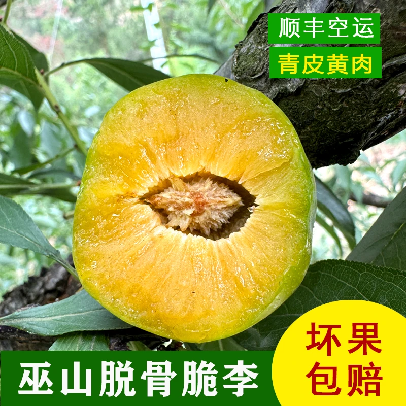 正宗重庆巫山脆李曲尺乡脱骨李新鲜应季水果青脆香甜李子产地发货