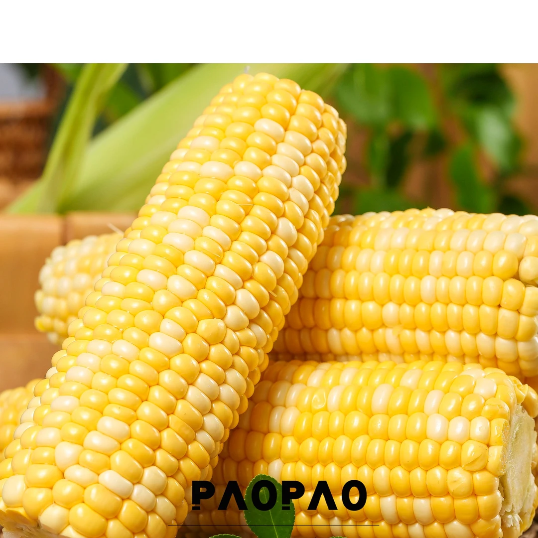 荒都食品临期玉米还有一个月净含量280g新鲜水果甜糯香甜食用产品