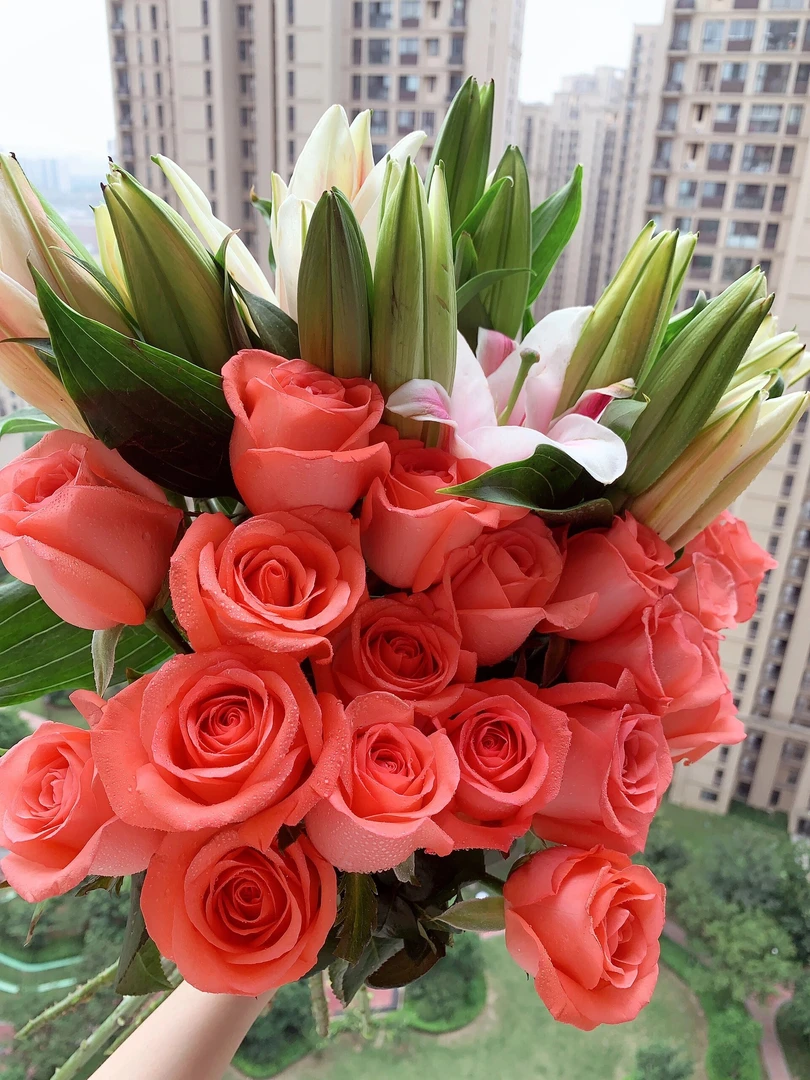 【超值爆款组合】红粉玫瑰百合向日葵鲜花组合套餐云南鲜花基地直发