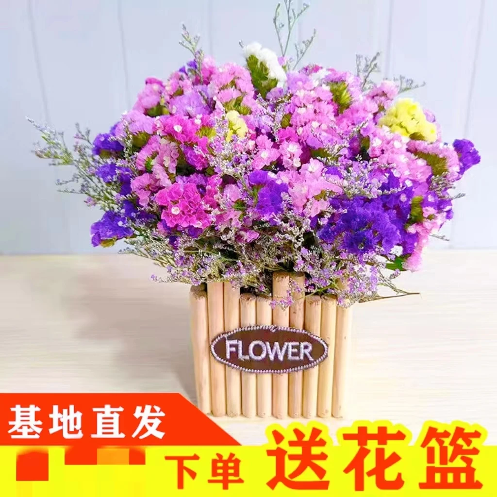 送花篮】勿忘我花束满天星云南基地直发新鲜花发货